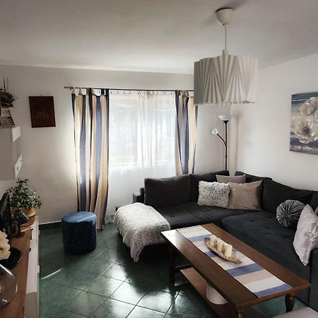 Apartment Mira Vrsar Buitenkant foto